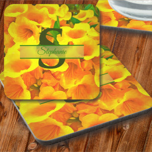Copa de Oro Coaster