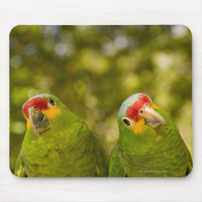 Copan, Honduras Mouse Pad (Front)