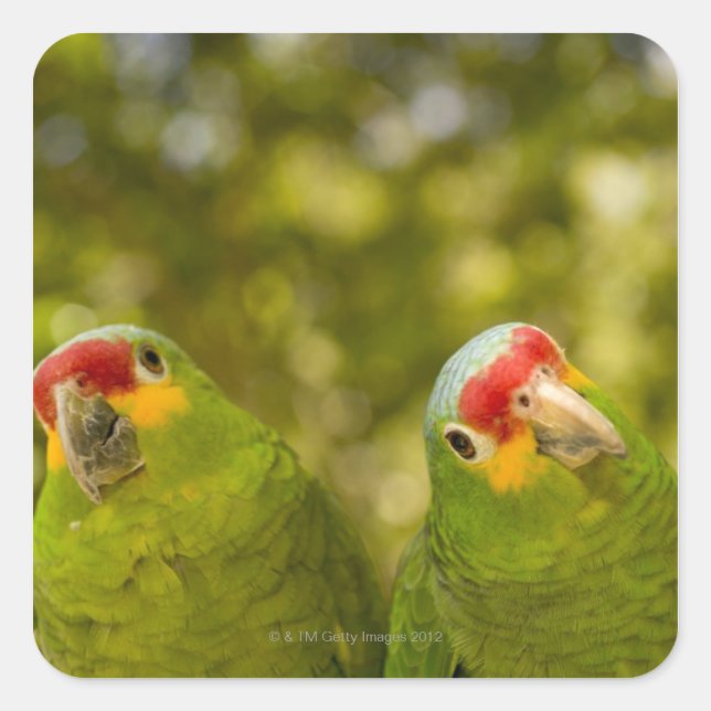 Copan, Honduras Square Sticker (Front)