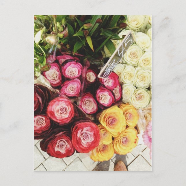 Copenhagen rainbow flowers postcard (Front)