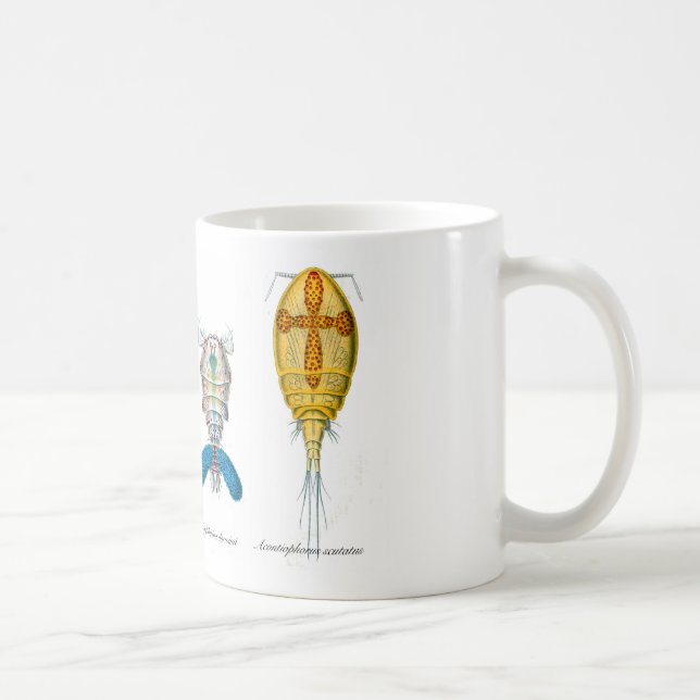 Copepods Coffee Mug (Right)