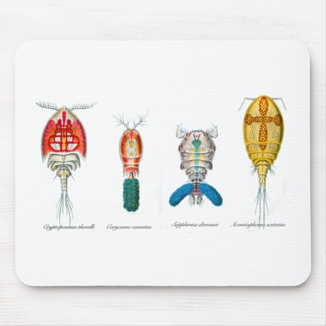 Copepods Mouse Pad (Front)