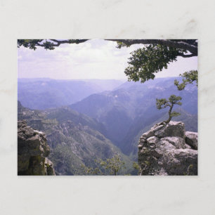 Copper Canyon Postcard