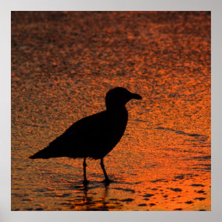 Copper Sunset Poster