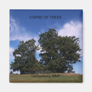 COPSE OF TREES MAGNET