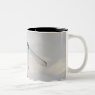 Copulation of Damselflies Two-Tone Coffee Mug