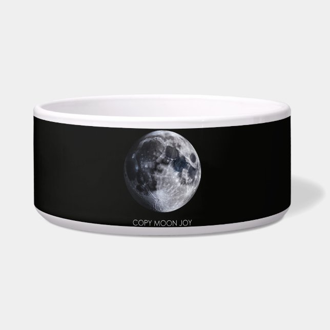 Copy Moon Joy (Front)