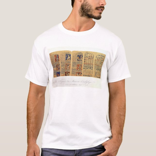 Copy of a fragment of the Dresden Codex T-Shirt (Front)