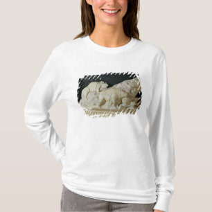 Copy of sculpture of bisons, Le T-Shirt