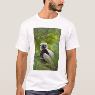 Coquerel's Sifaka in the forest 2 T-Shirt