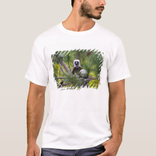 Coquerel's Sifaka in the forest T-Shirt