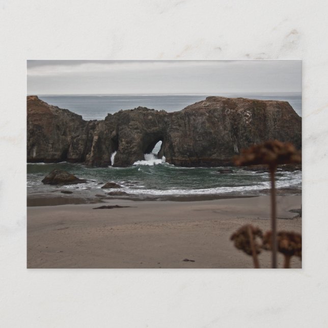 Coquille Point Arches, Oregon Postcard (Front)