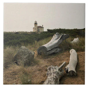 Coquille River Lighthouse, OR Tile