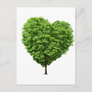 coração ecologico postcard