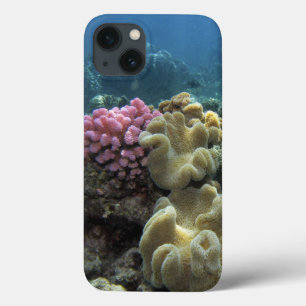 Coral, Agincourt Reef, Great Barrier Reef, iPhone 13 Case