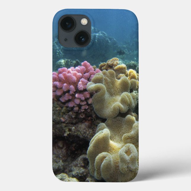 Coral, Agincourt Reef, Great Barrier Reef, Case-Mate iPhone Case (Back)
