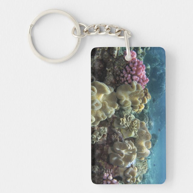 Coral, Agincourt Reef, Great Barrier Reef, Key Ring (Front)