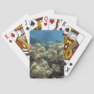 Coral, Agincourt Reef, Great Barrier Reef, Playing Cards