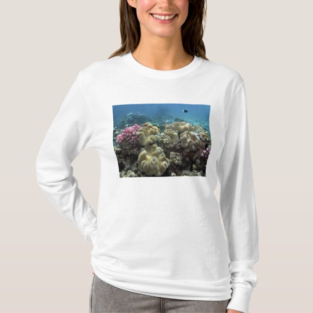 Coral, Agincourt Reef, Great Barrier Reef, T-Shirt (Front)