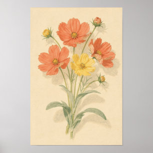 Coral and Butter Yellow Cosmos Floral Poster