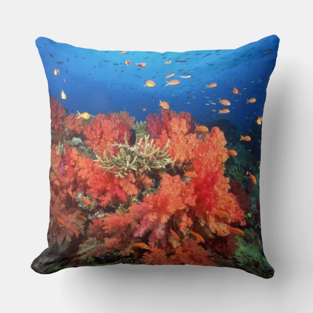 Coral and fish cushion (Front)