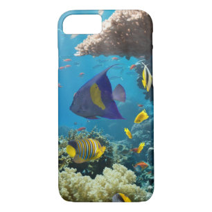 Coral and fish in the Red Sea, Egypt Case-Mate iPhone Case