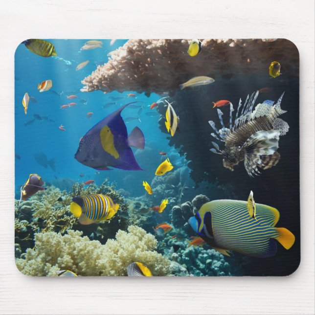 Coral and fish in the Red Sea, Egypt Mouse Pad (Front)