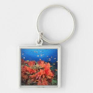 Coral and fish key ring