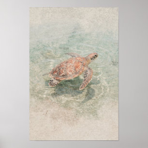 Coral and Sea-Glass Sea Turtle Coastal Wall Art