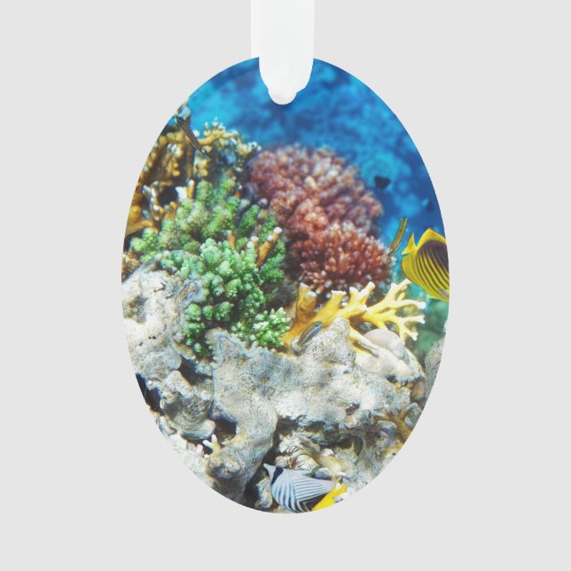 Coral Aquarium Ornament (Front)