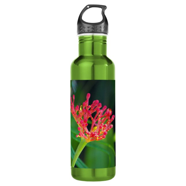 Coral Bush in bloom 710 Ml Water Bottle (Front)