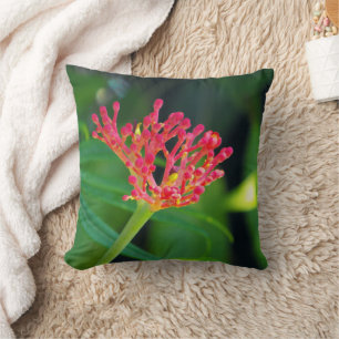 Coral Bush in bloom Cushion