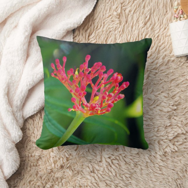 Coral Bush in bloom Cushion (Blanket)