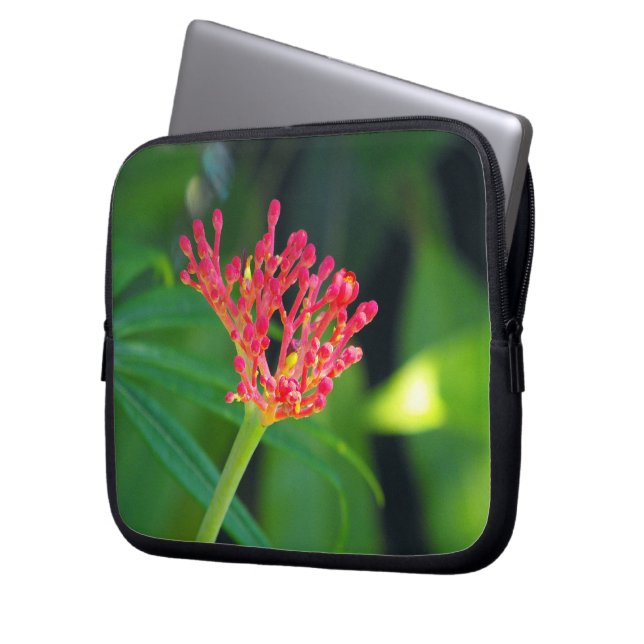 Coral Bush in bloom Laptop Sleeve (Front Left)