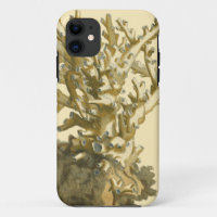 Coral by the Sea