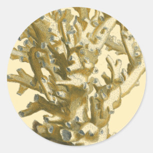 Coral by the Sea Classic Round Sticker
