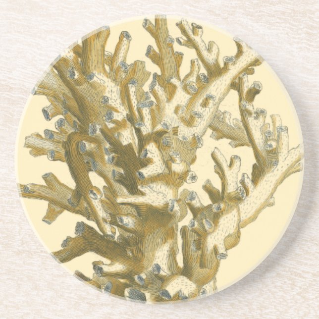 Coral by the Sea Coaster (Front)