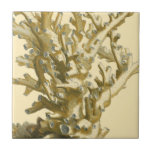 Coral by the Sea Tile<br><div class="desc">Get this modern piece of artwork today with cream coloured background. This piece of art contains a silhouette,  translucent coral that is very sharp and vivid. It's a contemporary art piece that will be perfect for any type of nautical theme you are trying to go for.</div>