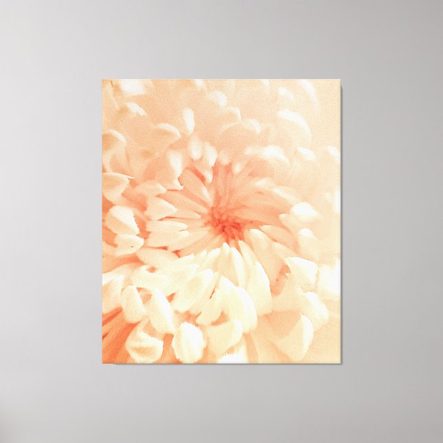 Coral Chrysanthemum Canvas Print (Front)