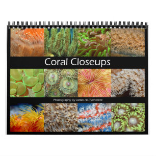 Coral Closeups Wall Calendar by J.W. Fatherree.