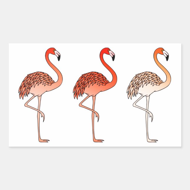 Coral Color Flamingos Rectangular Sticker (Front)
