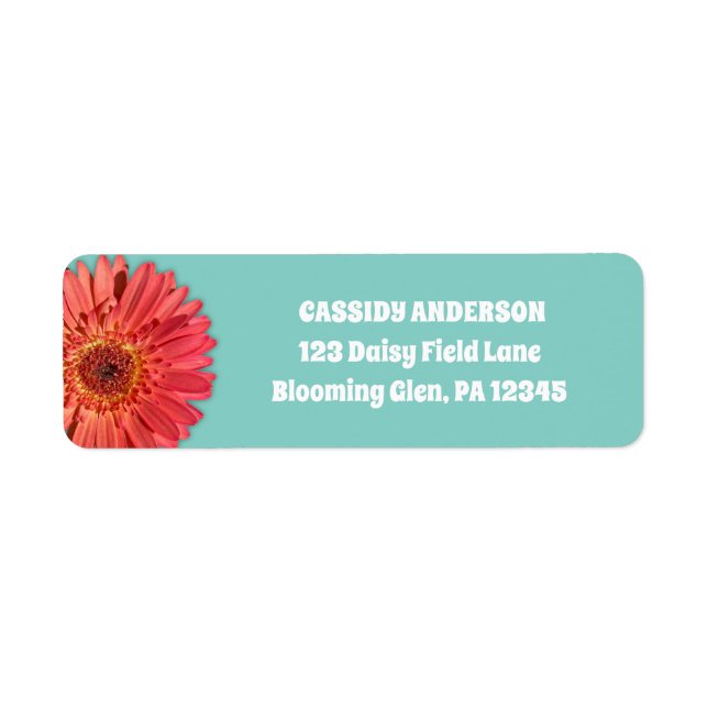 Coral Coloured Gerbera Daisy Photo Mint Green (Front)