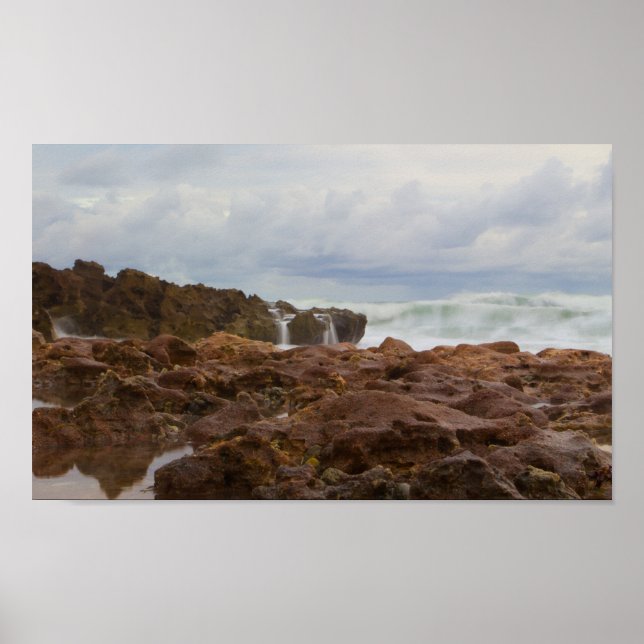 Coral Cove Park Beach, Florida Poster (Front)