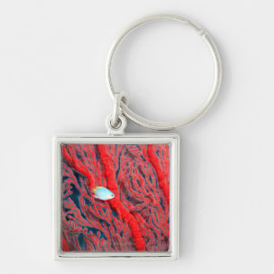coral key ring