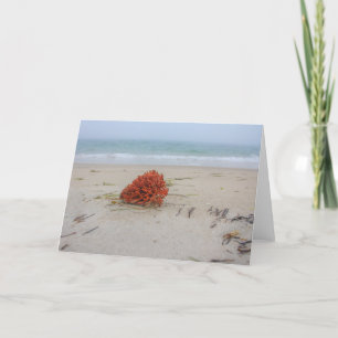Coral Note Card