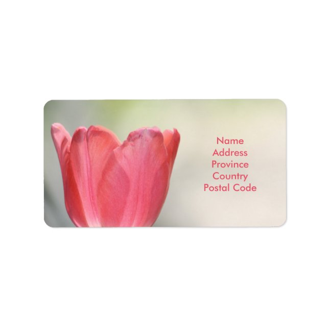 Coral Pink Garden Tulip Label (Front)