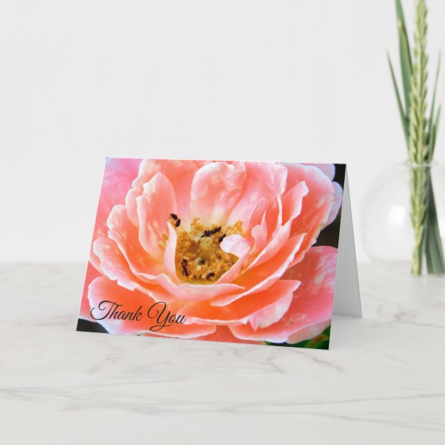 Coral Pink Rose Floral Photography Thank You Holiday Card (Front)