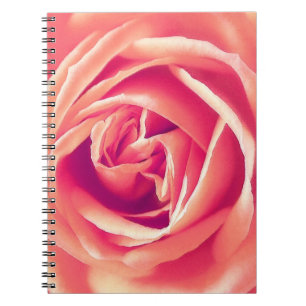 Coral pink rose print notebook