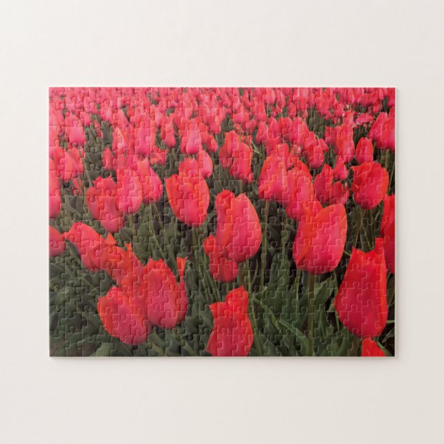 Coral Pink Tulips Jigsaw Puzzle (Horizontal)