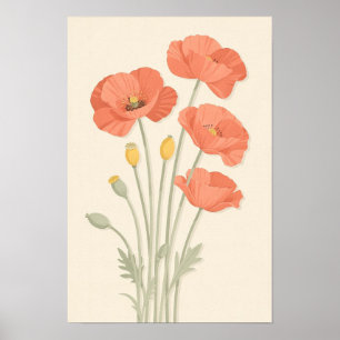 Coral Poppies and Sage Stems Floral Poster